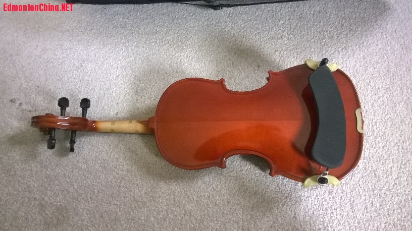 violin 5.jpg