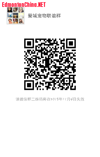 mmqrcode1446071504935.png