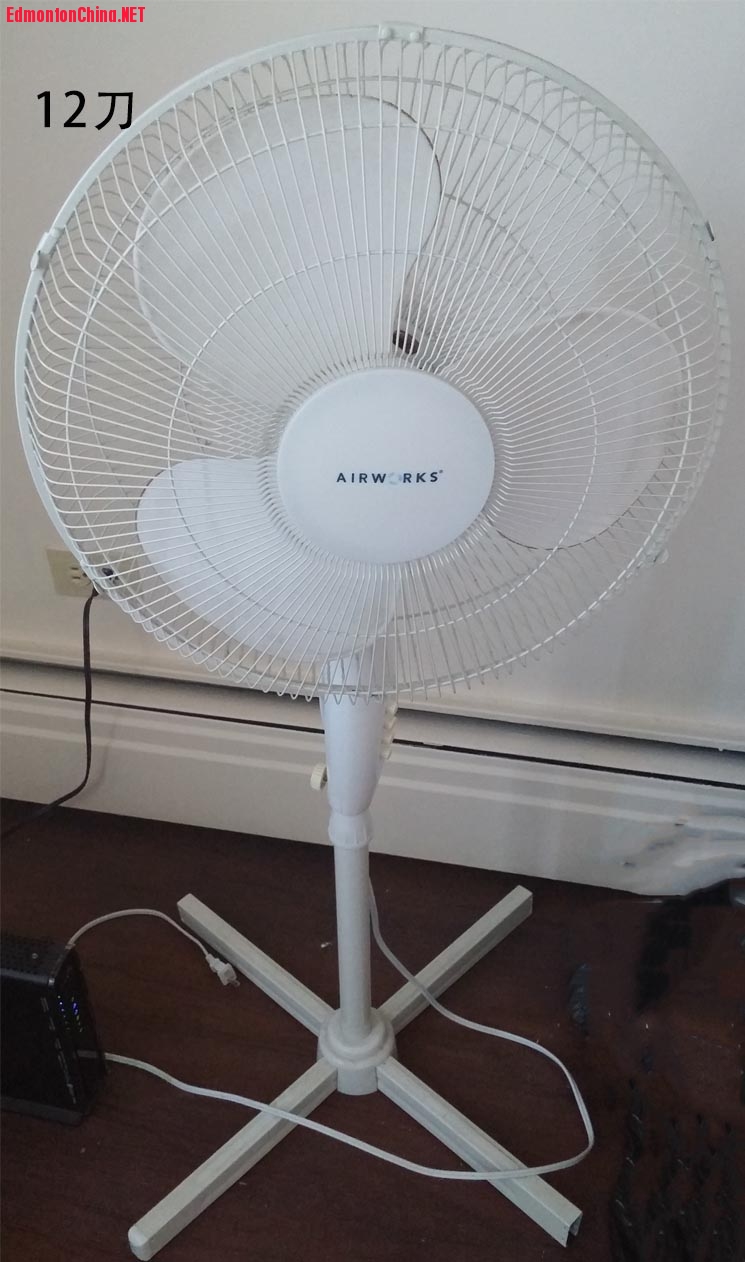 fan.jpg