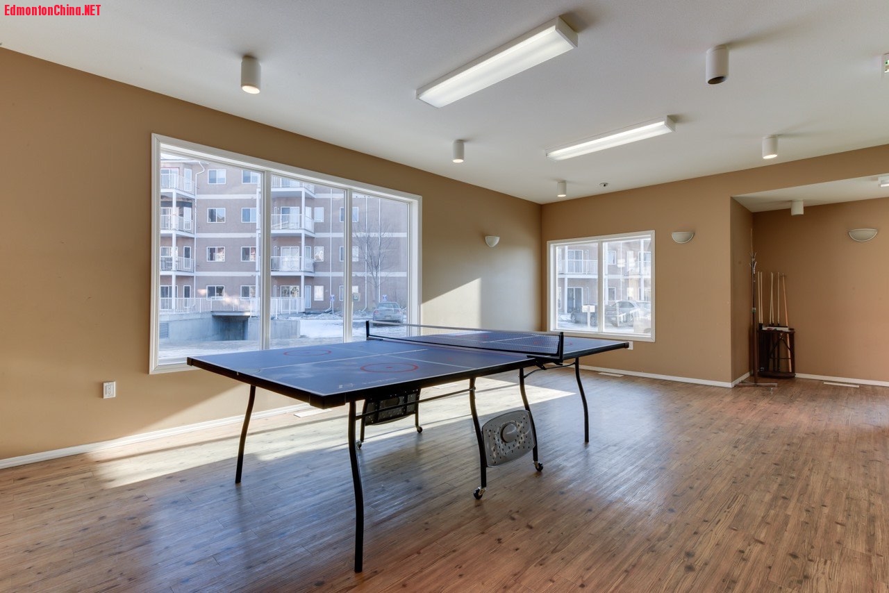 Ping Pong Table.jpg