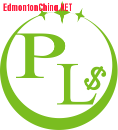 P&L accounting firm