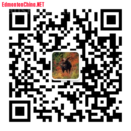 181104115848_mmqrcode1541361439548.png